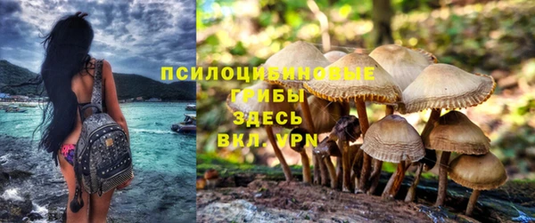 МДМА Заводоуковск