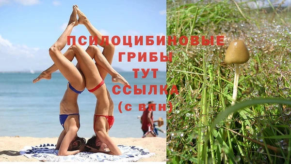 прущая мука Заволжье