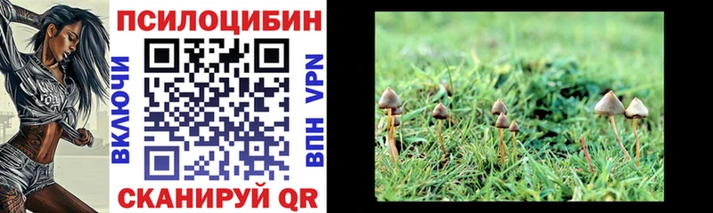 Купить закладки  Тбилисская  Галлюциногенные грибы MAGIC MUSHROOMS 